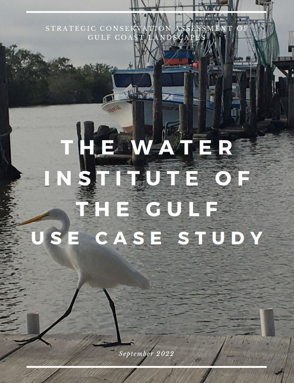 The Water Institute of the Gulf