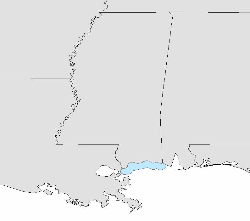 Monitoring Secretive Marsh Birds - Photo 2