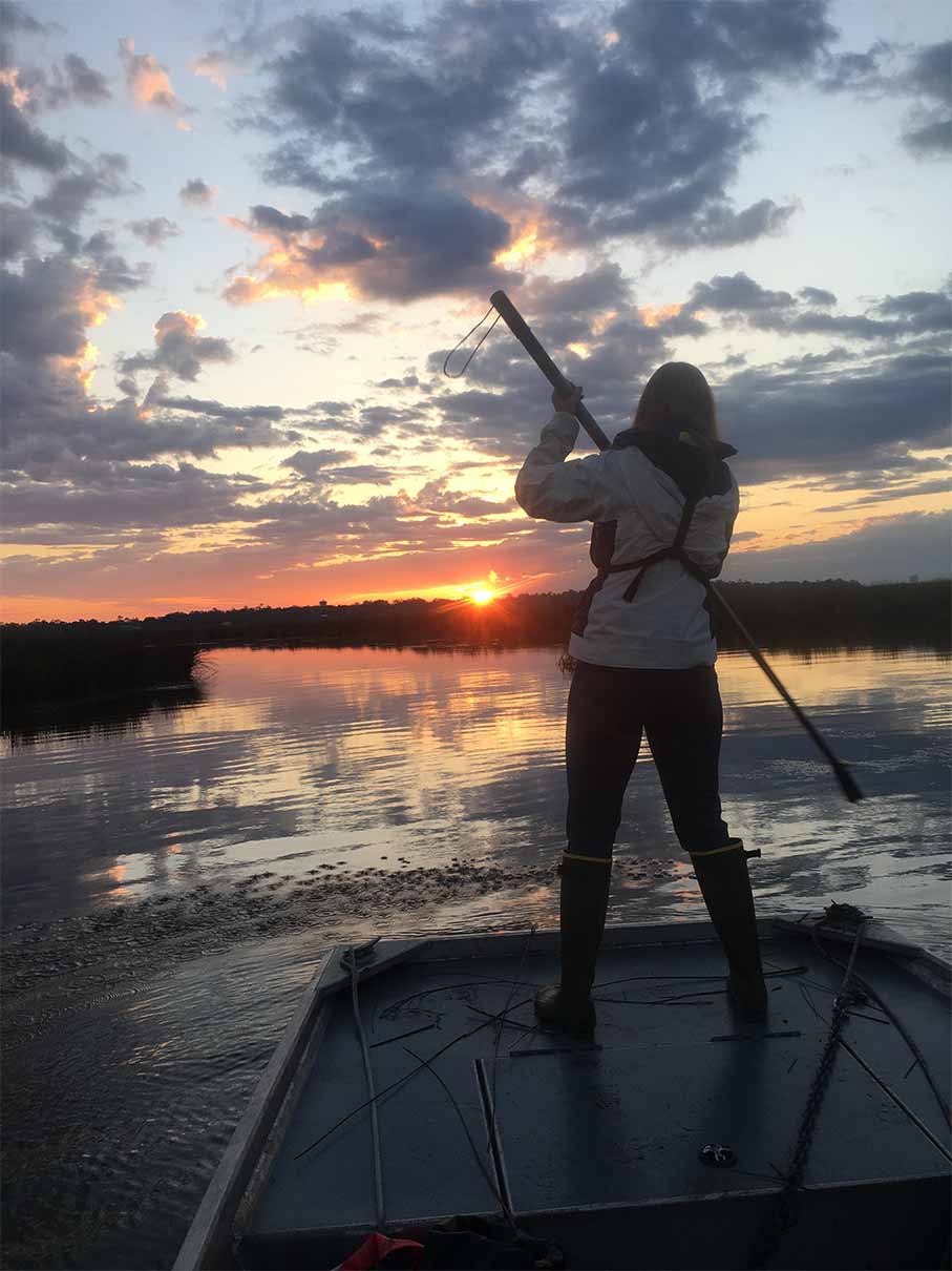 Monitoring Secretive Marsh Birds - Photo 4