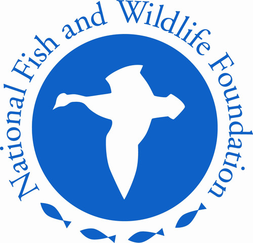 National Fish and Wildlife Foundation