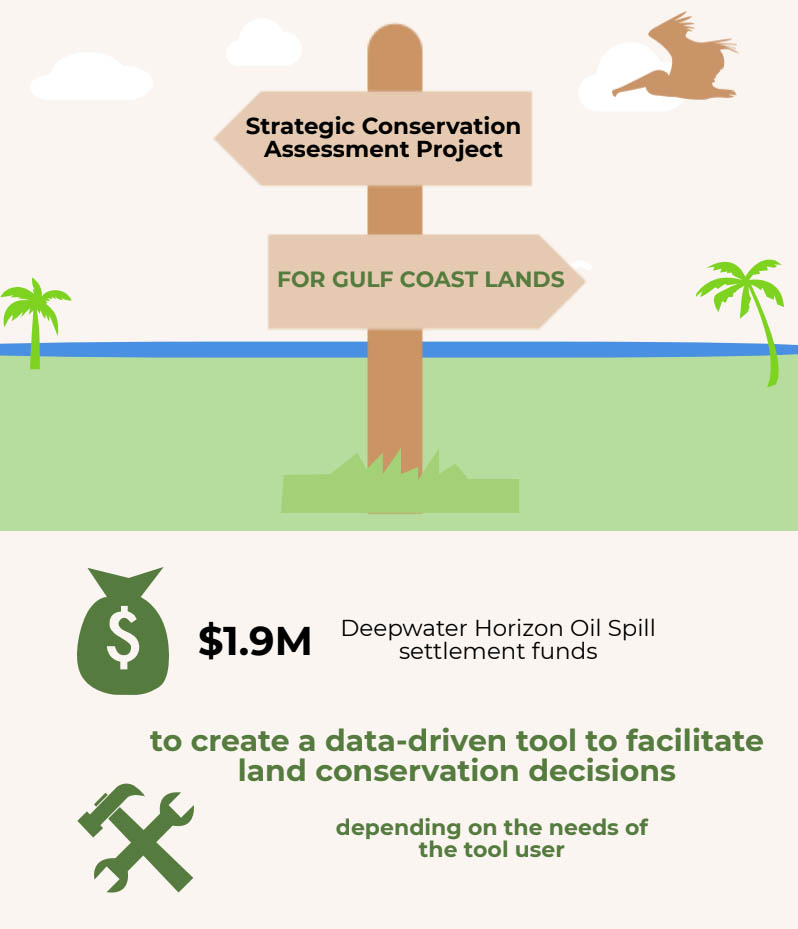 SCA Project Infographic